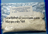 Anti Estrogen Steroids Tamoxifen Citrate CAS 54965-24-1 with High Purity