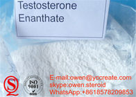 Androtardyl 250mg Delatestryl Testosterone Enanthate Powder Anabolic Salt Source