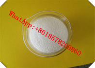 Amorolfine HCL / Amorolfine Hydrochloride CAS 78613-38-4 for Experimental Use