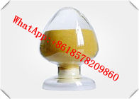 Chemical Raw Material D-Sorbitol CAS 50-70-4 with High Purity
