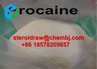 Procaine Base Novocain powder Local Anesthetic Drugs 59-46-1 , topical dental anesthetic