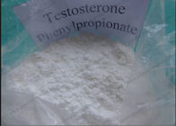 Muscle Building Testosterone Steroids Testosterone Phenylpropionate CAS 1255-49-8