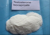 Health Bodybuilding Pharmaceutical Hormone Testosterone Isocaproate CAS 15262-86-9