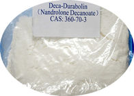 Raw Powders Nandrolone Decanoate / Deca Durabolin for Steroids Inject Oil