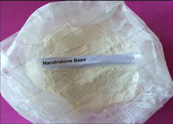 Safe Raw Steroid Powders Muscle Building Steroid Nandrolones Base CAS 434-22-0