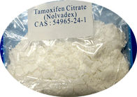 Anti Estrogen Steroids Tamoxifen Citrate CAS 54965-24-1 with High Purity