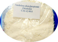 NPP Raw Steroid Powders Nandrolone Phenylpropionate / Durabolin CAS 62-90-8