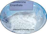 Testosterone Steroids Testosterone Enanthate Powder For Cutting Cycle 315-37-7