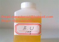 Natural anabolic steroid Max LMG /  Methoxydienone 2322-77-2 , Raw Hormone Powder