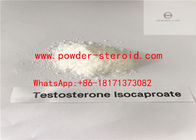 Testostero Steroid Testosterone Isocaproate In White Powder For Muscle Building