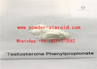 TPP Steroid Powders Testosterone Phenylpropionate with Safety Delivery