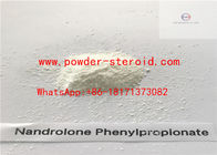 NPP Raw Steroid Powders Nandrolone Phenylpropionate / Durabolin CAS 62-90-8