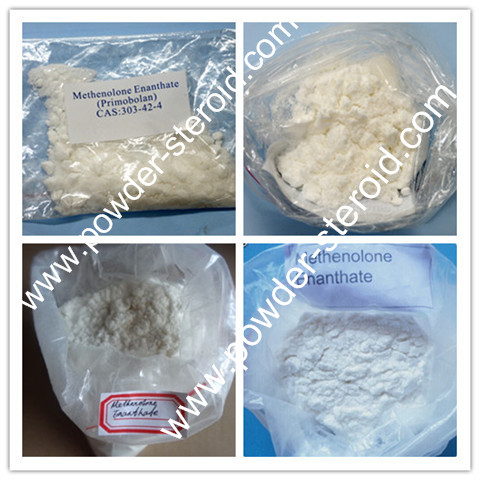 Primobolan powder