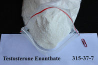 Testosterone Steroids Testosterone Enanthate Powder For Cutting Cycle 315-37-7