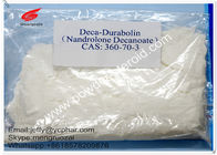 Deca Oral / Injectable steroids build muscle , Nandrolone Decanoate Steroid Powder 303-42-4