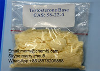 Muscle Building Steroid Testosterone Base For Male Enhancement CAS 58-22-0
