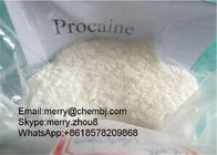 Local Anethtic Pharma Raw Powder Procaine For Pain Killer CAS 59-46-1