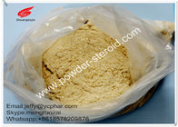 Muscle Anabolic Hormone Raw Steroid PowderS