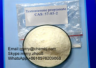 Test Prop Steroid Powder Testosterone Propionate For Muscle Gaining CAS 57-85-2