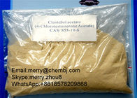 High Purity Steroid Hormone Powder Clostebol Acetate For Muscle Gaining CAS 855-19-6