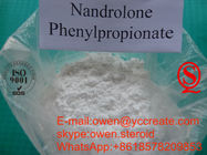 Nandrolone Phenylpropionate Nandrolone Steroids Bulking Durabolin NPP 100mg Price