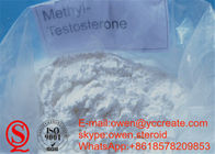 17 alpha Methyltestosterone Tilapia Steroids Metandren Tablets Drug Raw Materials