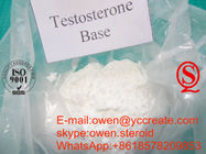 Testosterone Base USP Testosterone Steroids Without Ester Pure Raw Powder Source