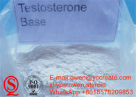 Testosterone Base USP Testosterone Steroids Without Ester Pure Raw Powder Source
