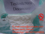 Deca Testosterone Steroids Test Decanoate Injectable Pure Raw Powder China Source