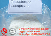 Testosterone Isocaproate 60mg Injectable Steroids Testosterone Raw Powder Source