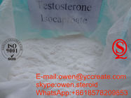 Testosterone Isocaproate 60mg Injectable Steroids Testosterone Raw Powder Source