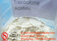 Trenbolone Acetate Injectable Bulking Cycle Steroids Powder Tren Ace 100mg Revalor - H