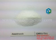 No Side Effect Raw Hormone Powder , Anti Estrogen Steroids Anastrozole 120511-73-1