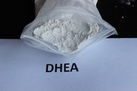 Anabolic Androgenic Steroids White Powder DHEA Improve Sexual Function