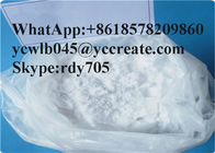 White crystalline powder Prohormones Steroids Pregnenolone No Side Effect CAS 145-13-1