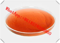 High Purity Pharmaceutical Raw Material Fasoracetam CAS 110958-19-5