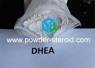 DHEA Dehydroepiandrosterone CAS 53-43-0 Bodybuilding Steroids Pharmaceutical Raw Materials