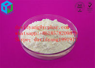 Bodybuilding Hormone Steroid Clostebol acetate 855-19-6 From China