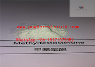 Testosterone Steroid Powder 17a-Methyl-1-Testosterone For Male Muscle Building