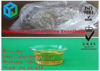 Masteron Drostanolone Enanthate Muscle Building Steroids Bodybuilding Cycle Injectable