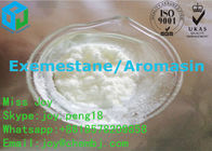 Exemestane / Aromasin Anti Cancer Anti Estrogen Steroids CAS 107868-30-4