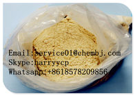 99% Purity Breast Cancer Treatment Steroids Formestane CAS 566-48-3