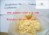 23454-33-3 Trenbolone Steroids / ParabolanYellow powder for Bodybuilding Supplements