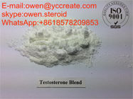 Testosterone Blend Muscle Building Steroids Omnadren Mix Test Sustanon 250mg UK