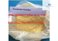 Anabolic Steroid Powder Trenbolone Hexahydrobenzyl Carbonate 23454-33-3