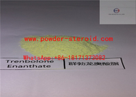 Trenbolone Steroids Powder / Trenbolone Enanthate bodybuilding growth hormones