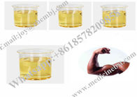 Boldenone Cypionate 200mg / ml Injectable Steroid Oil Clean Effective