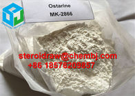 Heathy Sarm Enobosarm /Ostarine (MK-2866) CAS841205-47-8/1202044-20-9