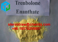2322-77-2 Medicine Trenbolone Steroids / Injection Anabolic Steroids Parabolan