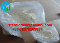 Coluracetam CAS 135463-81-9 White Crystalline Powder Improving Memory and treatment
